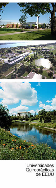 Instituciones academicos de la quiropráctica